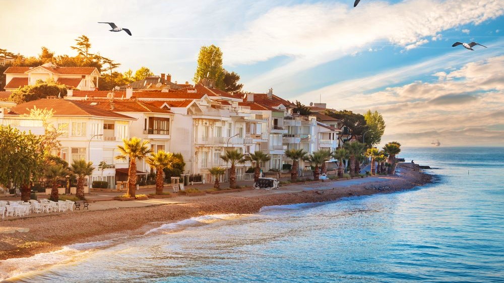 Princes Island Tour with Lunch from Istanbul Price