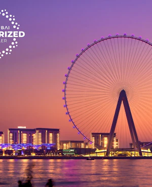 Ain Dubai Views Tickets