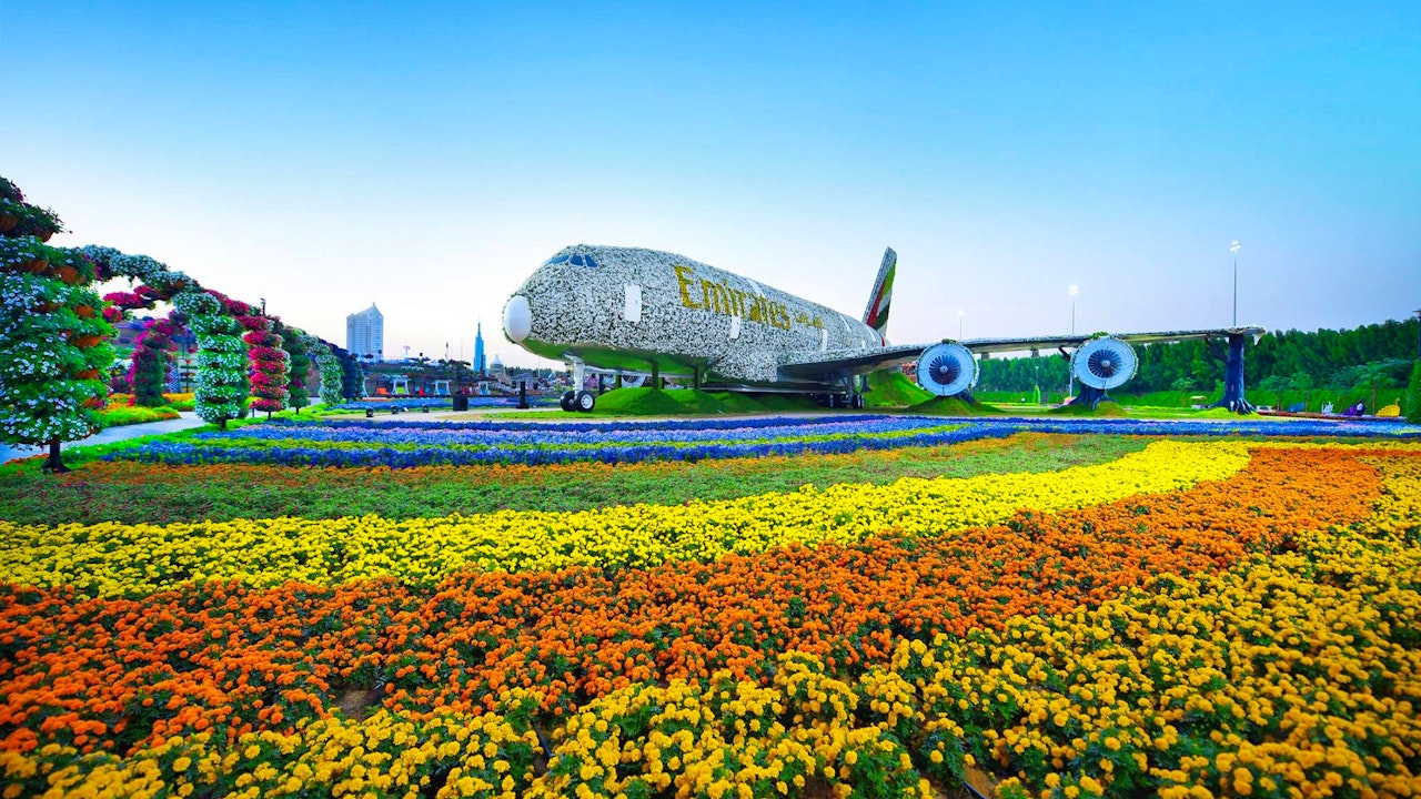 global village miracle garden combo