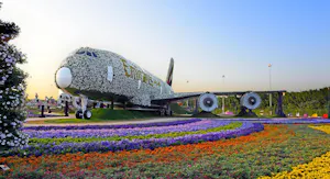 Combo: Miracle Garden and Global Village Tickets  with hotel Transfers