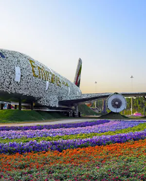 Combo: Miracle Garden and Global Village Tickets with hotel Transfers