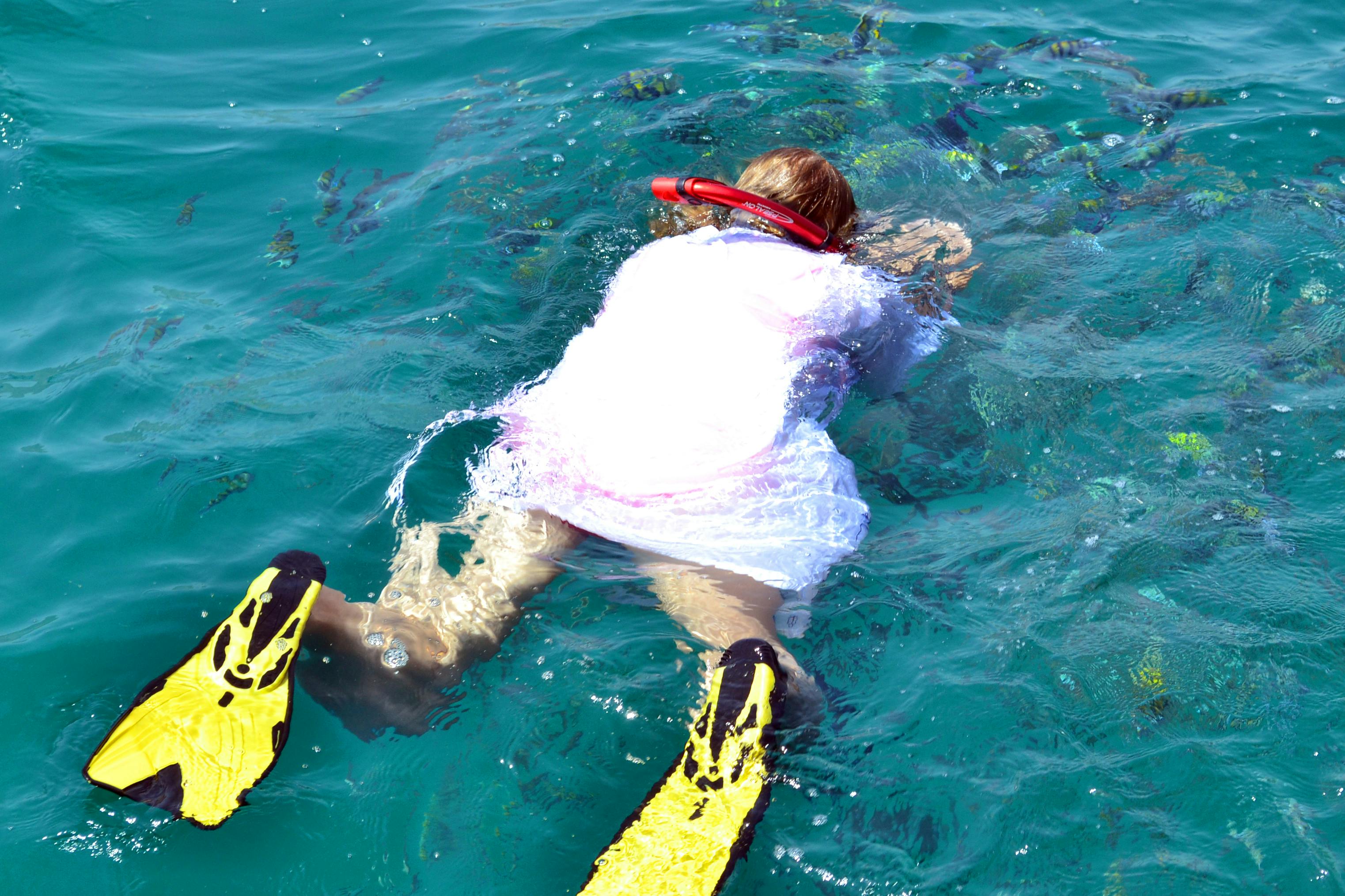 To Khasab: Full Day Trip with Dhow Cruise & Dolphin Watching Review