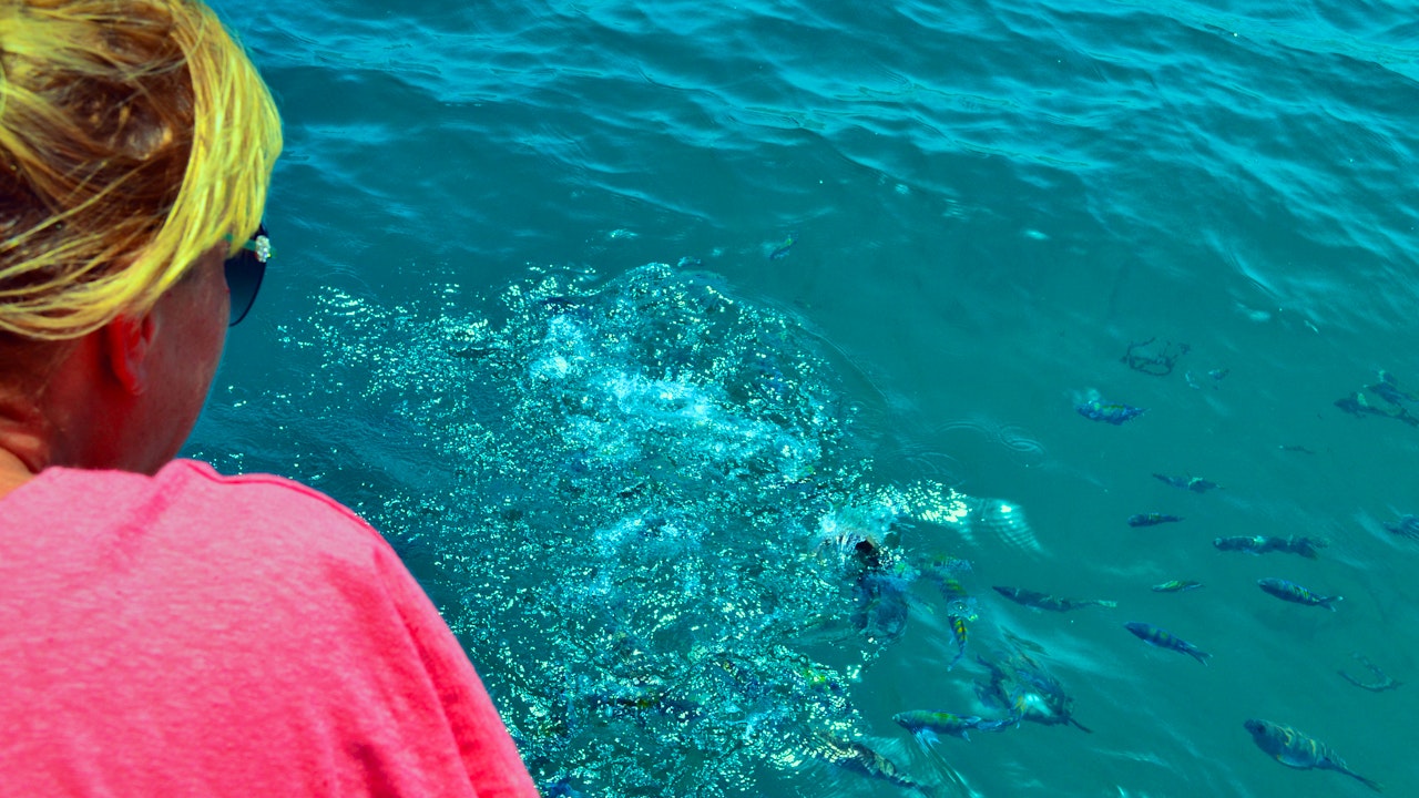 To Khasab: Full Day Trip with Dhow Cruise & Dolphin Watching Category