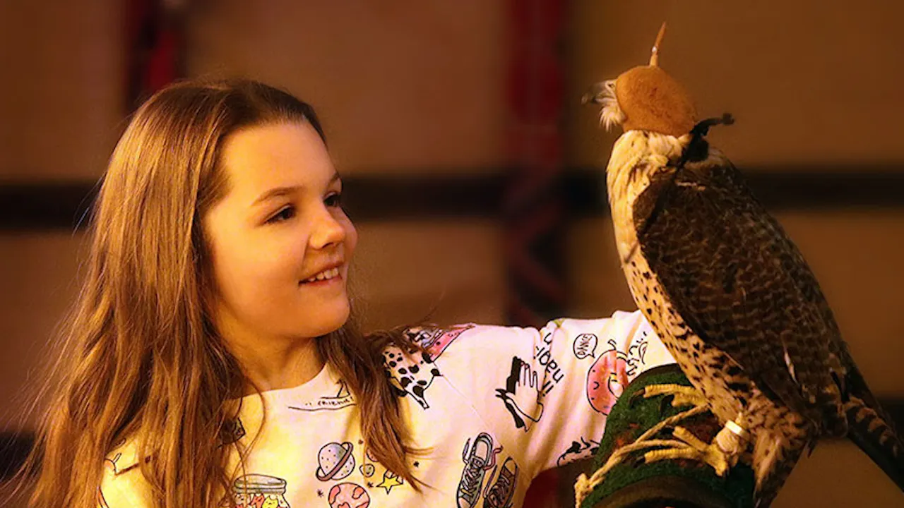 Caravanserai Bedouin Desert Dinner Experience