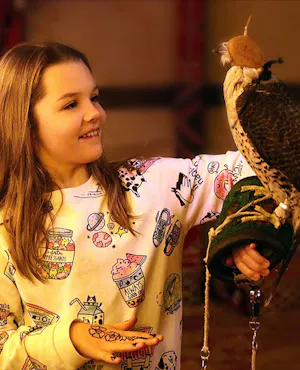 Caravanserai Bedouin Desert Dinner Experience