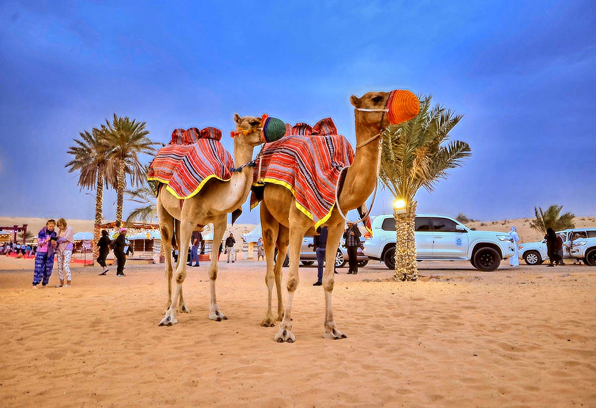 Caravanserai Bedouin Safari & Desert Dinner Experience Ticket