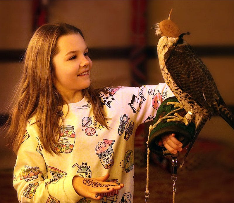 Caravanserai Bedouin Safari & Desert Dinner Experience Discount