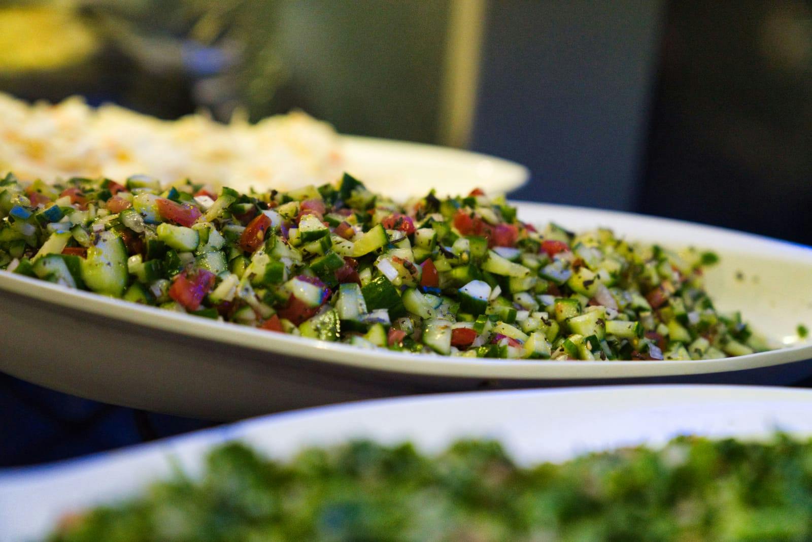 Catamaran Marina Cruise Experience Category