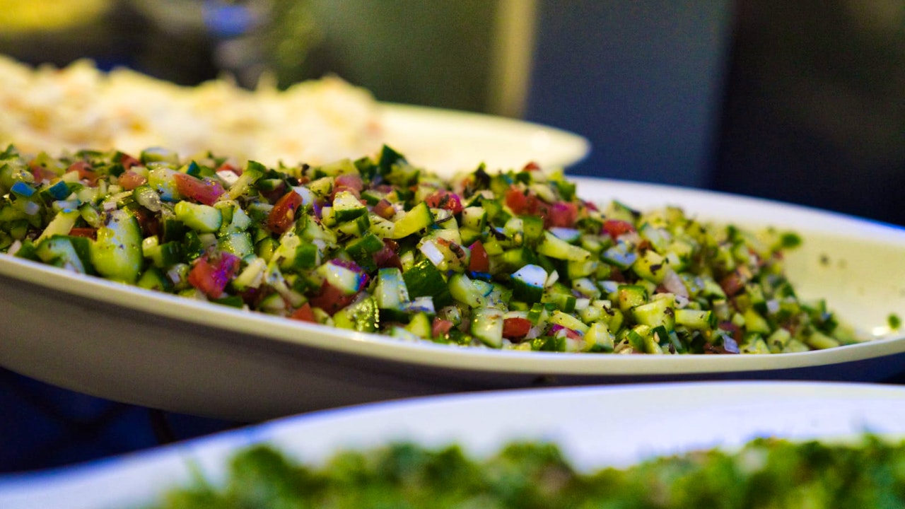 Catamaran Marina Cruise Experience Category