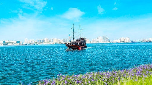 Black Pearl Themed Sightseeing Cruise Discount