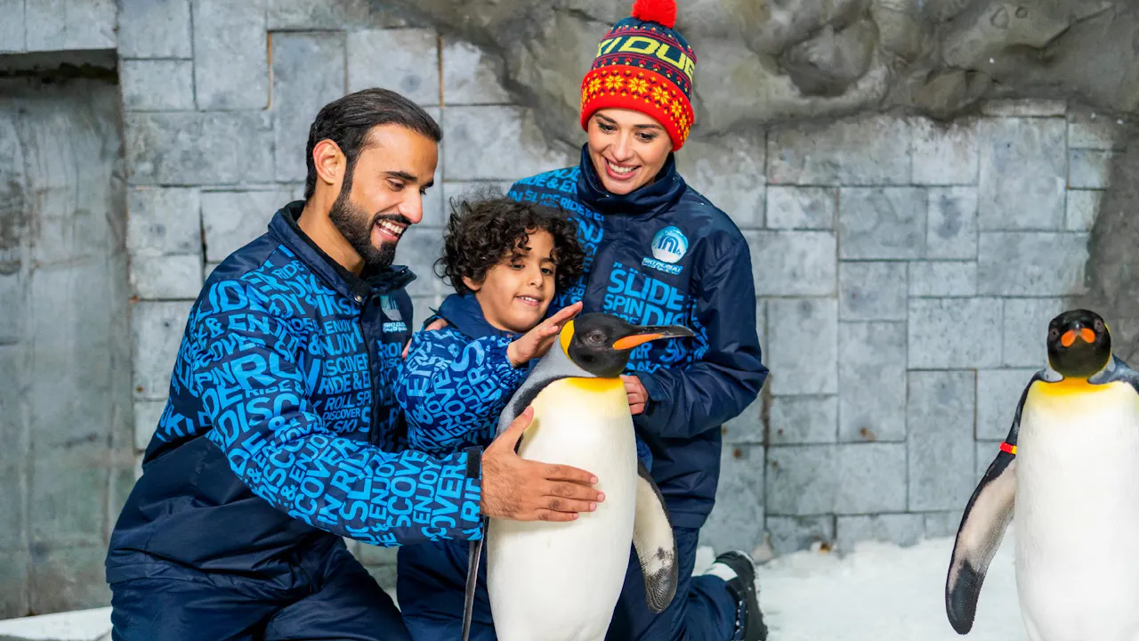 Ski Dubai: Ultimate Penguin Discount