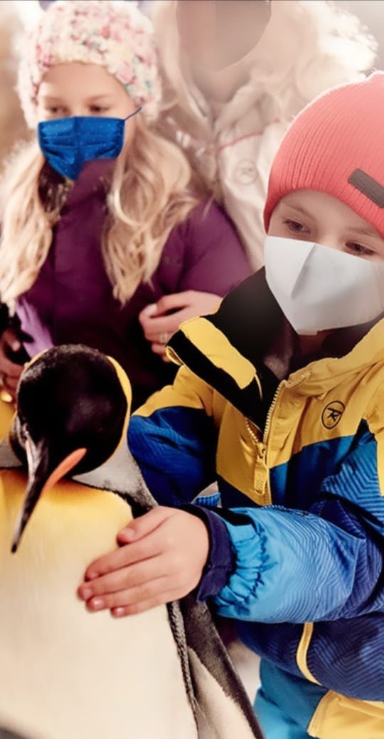 Ski Dubai: Ultimate Penguin Ticket