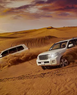 2 Day Combo: Marina Cruise, City Tour and Desert Safari