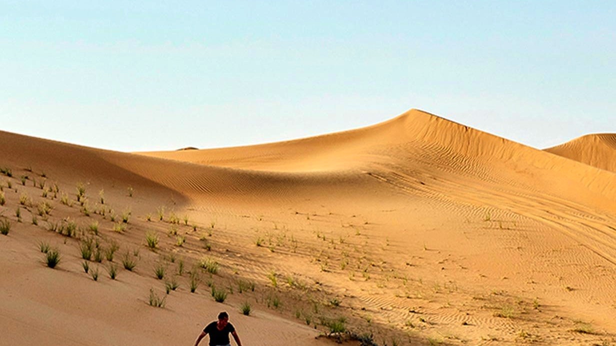 Evening Desert Safari with BBQ, House & Soft Beverages Review