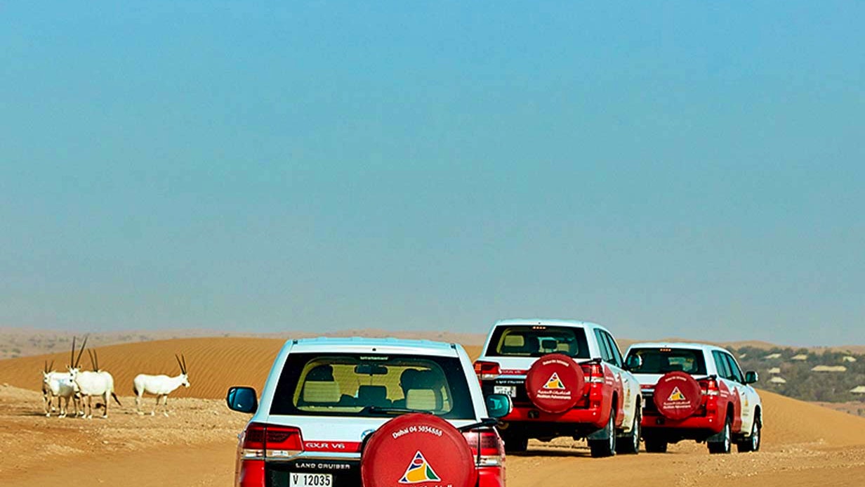 Evening Desert Safari with BBQ, House & Soft Beverages Discount