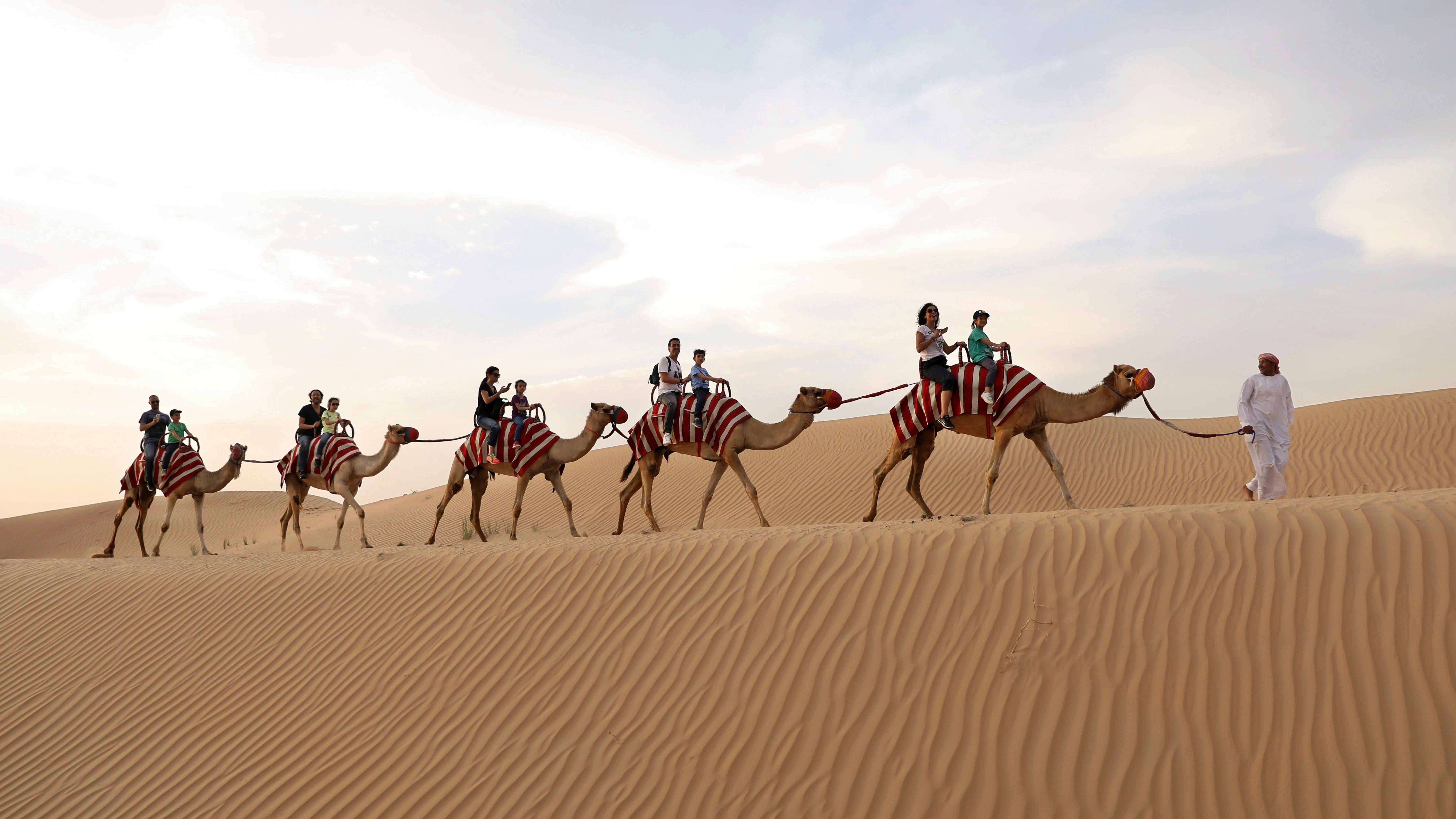 Evening Desert Safari in G Class with Al Marmoom Bedouin Experience Category
