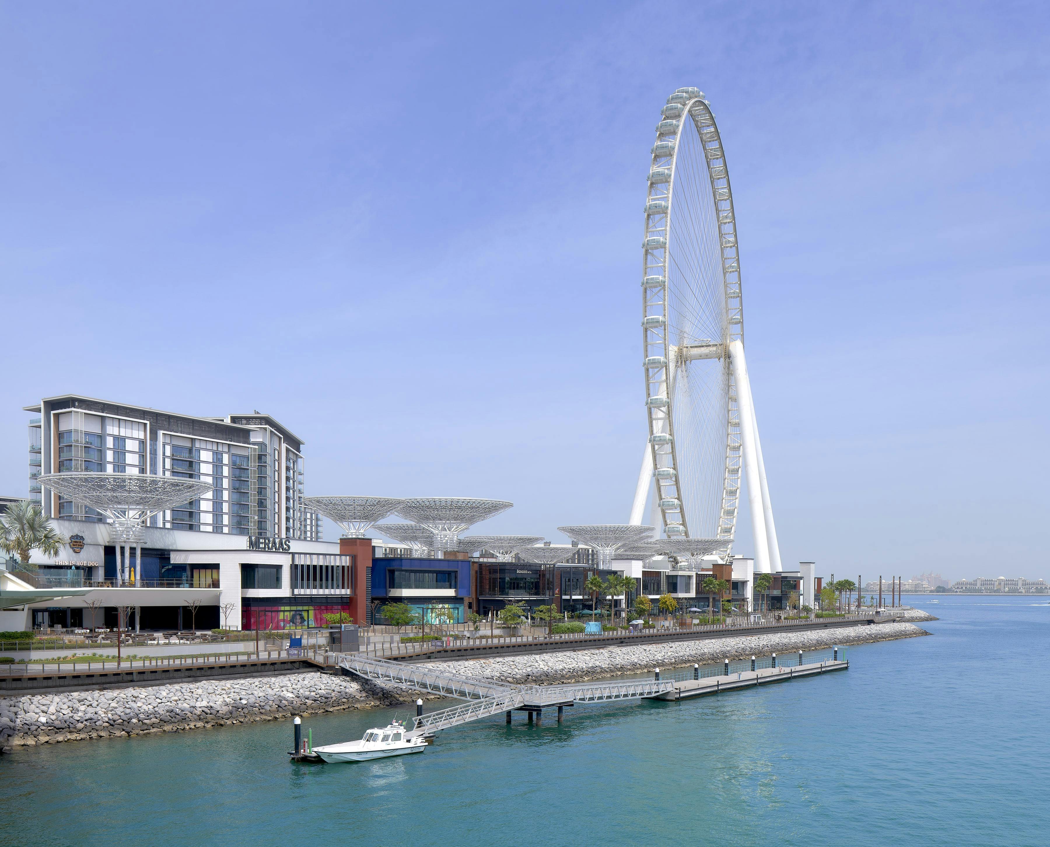 Ain Dubai Family Pass Category