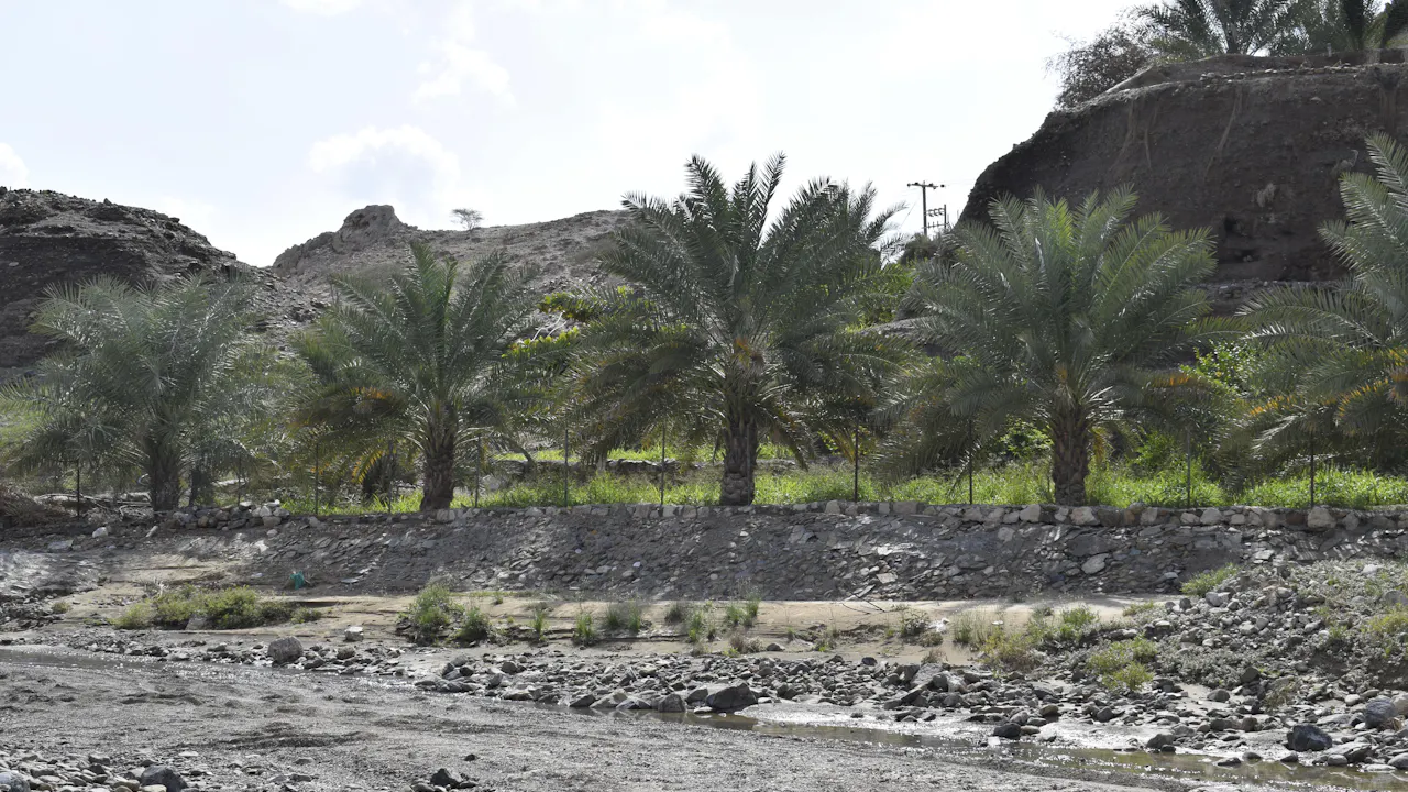 Mountain Safari Tour To Al Ghail Ticket