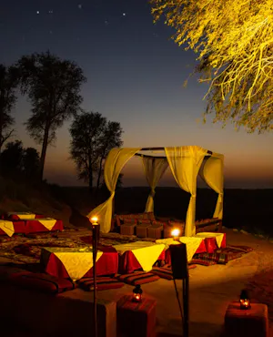 Dine in the Desert at Bedouin Oasis Camp