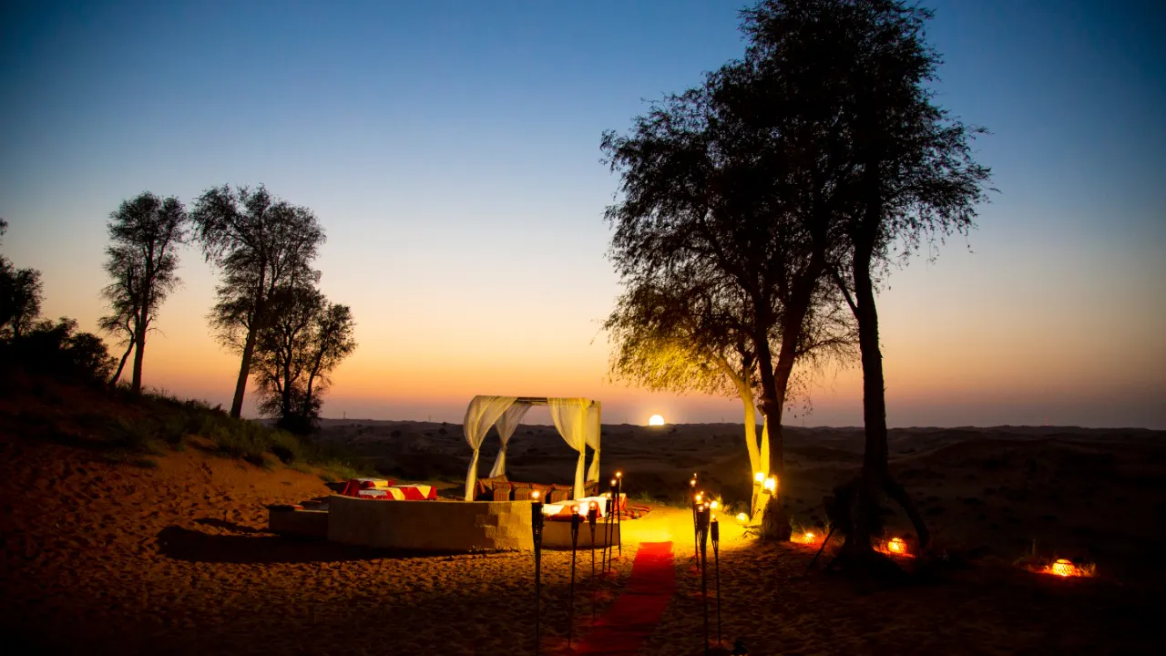 Dine In The Desert Price