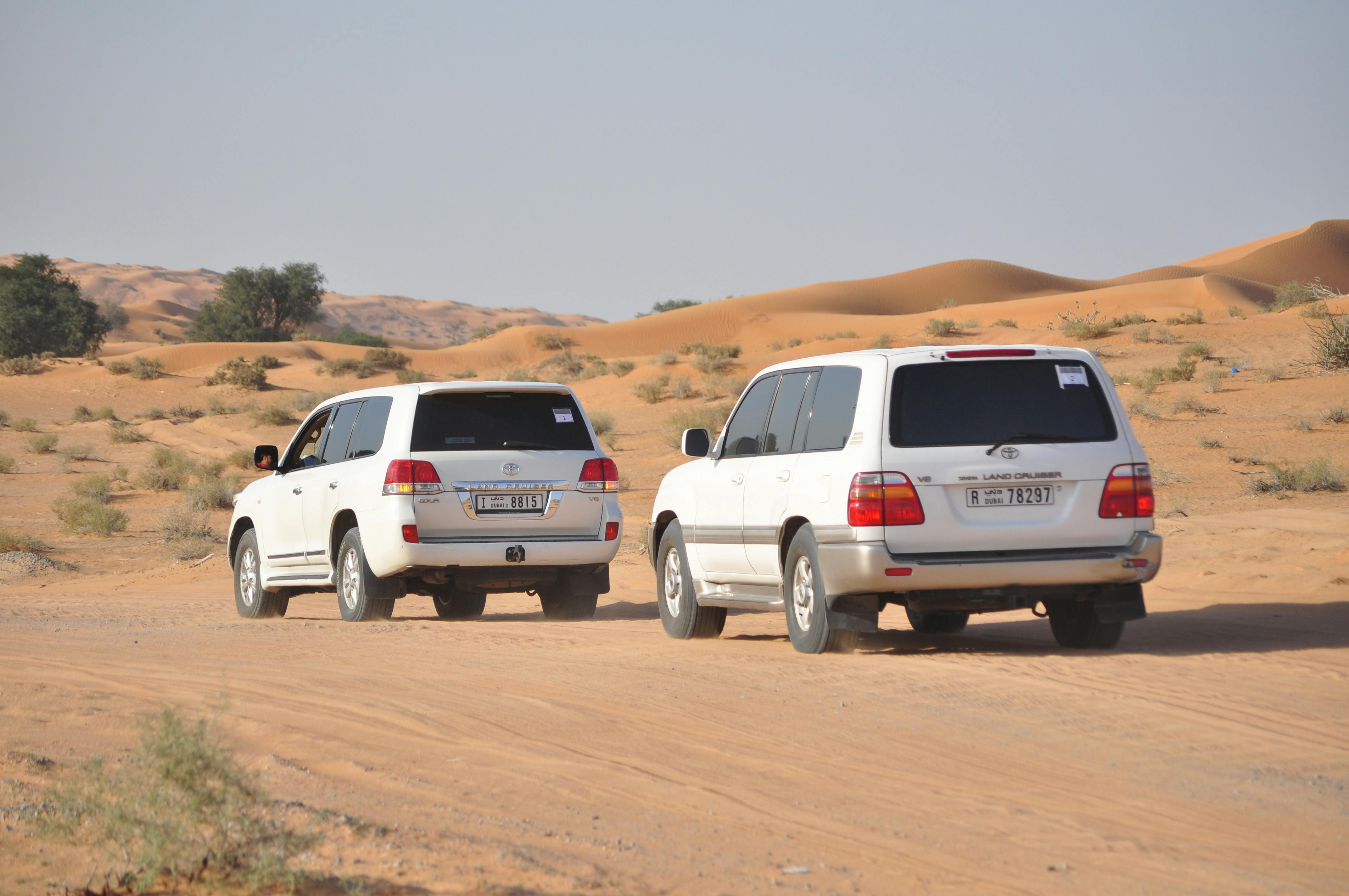 Morning Desert Safari - Camel & Date Farm Tour Discount