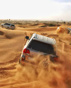 Morning Desert Safari - Camel & Date Farm Tour