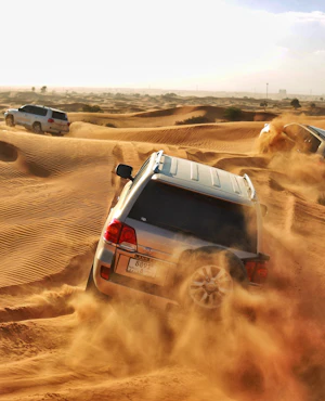 Morning Desert Safari - Camel & Date Farm Tour