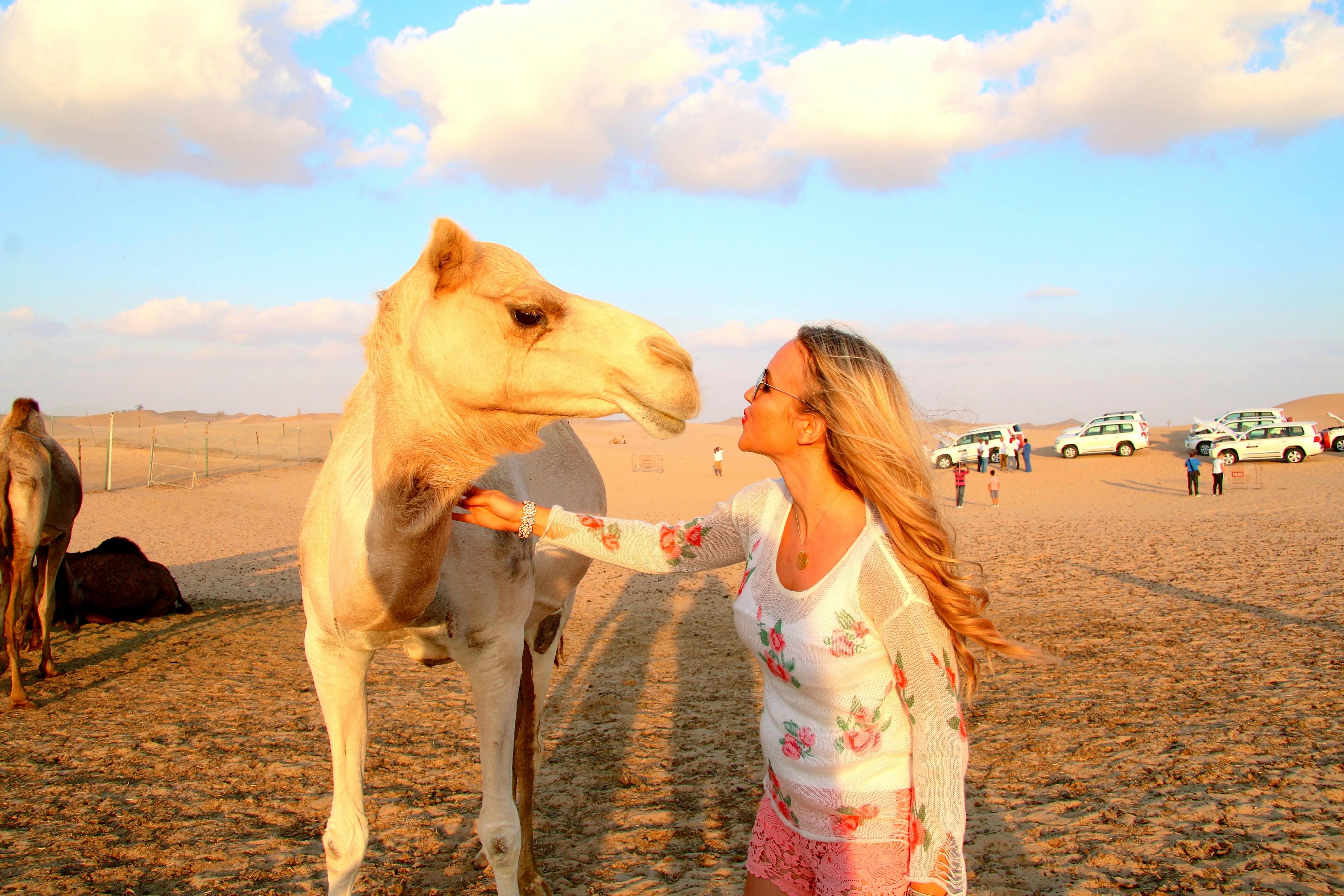 Camel Trekking Abu Dhabi Location
