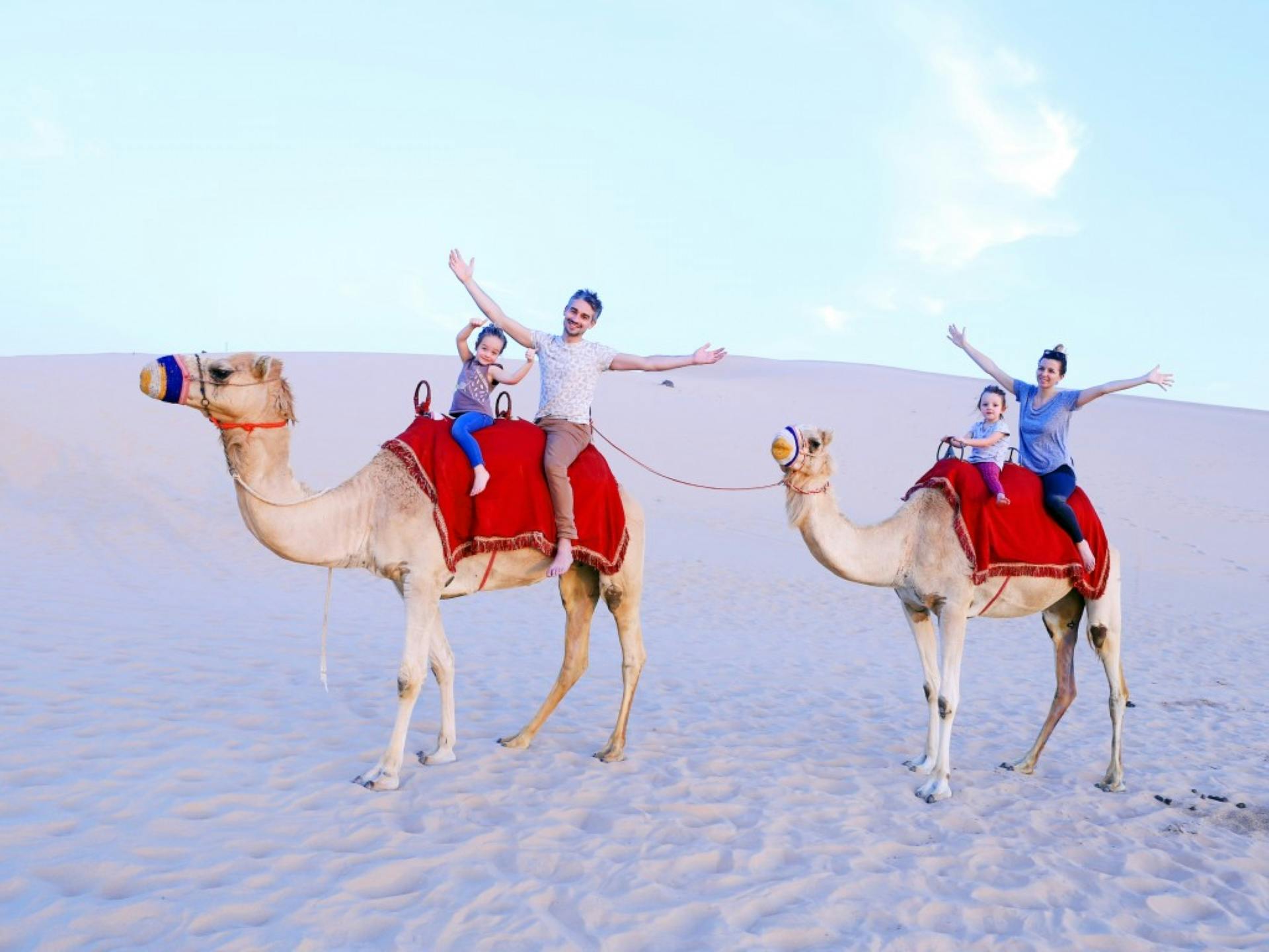 Camel Trekking Abu Dhabi Category