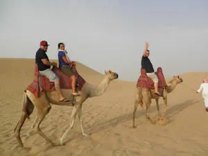 Camel Trekking Abu Dhabi