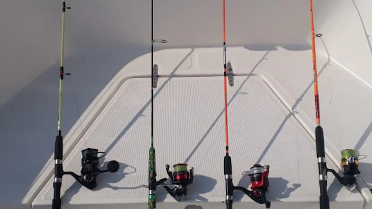 Deep Sea Fishing Trip Abu Dhabi Price