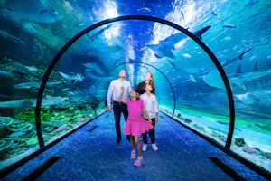 National Aquarium Abu Dhabi Tickets