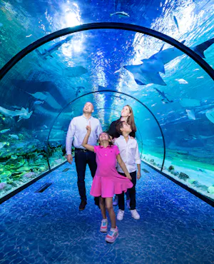National Aquarium Abu Dhabi Tickets