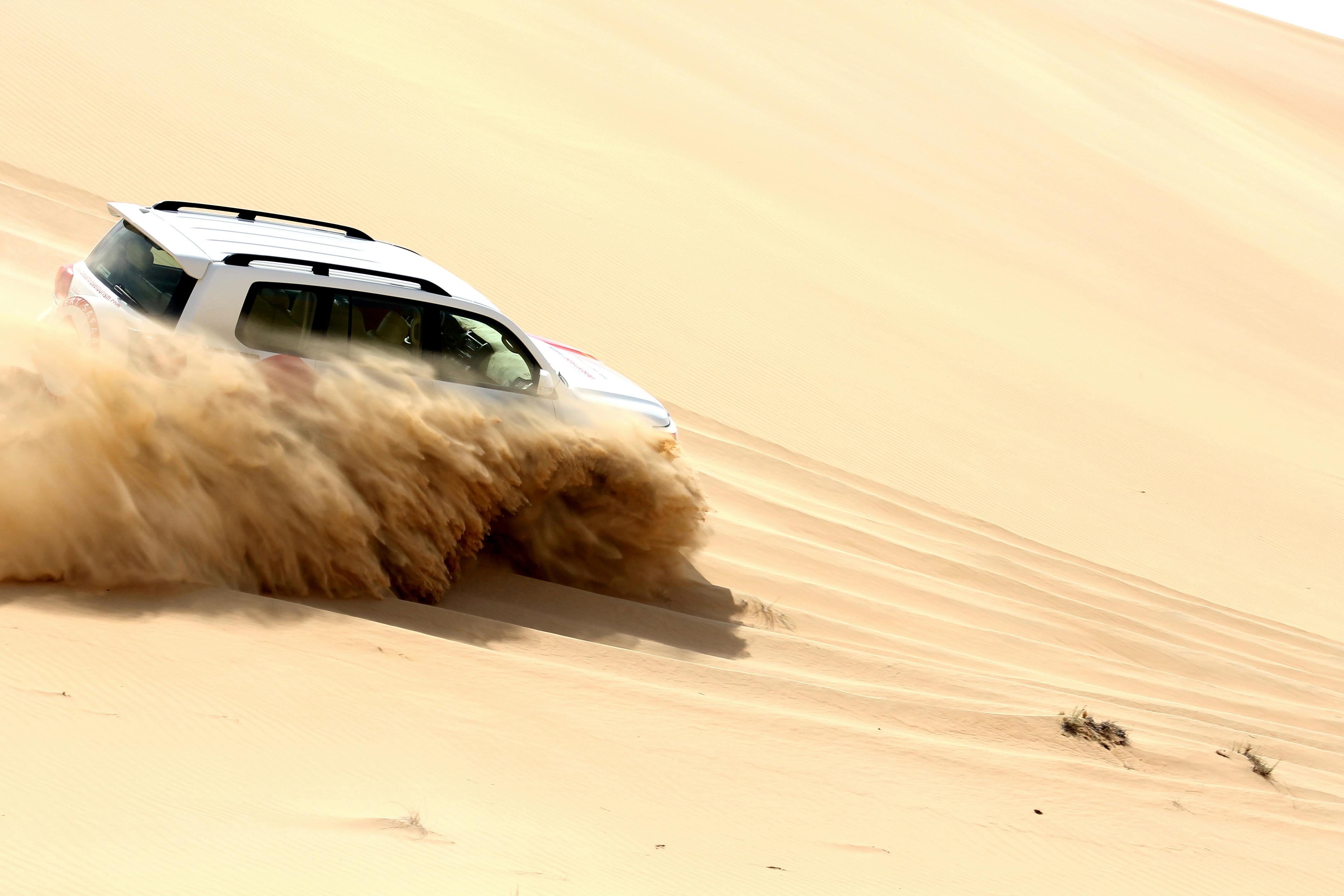 Liwa Full Day Tour Price