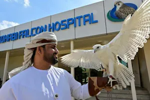 Falcon Hospital Tour Tickets
