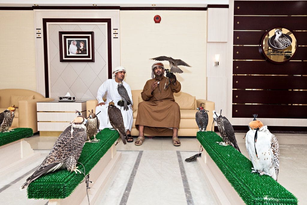 Falcon Tour Location