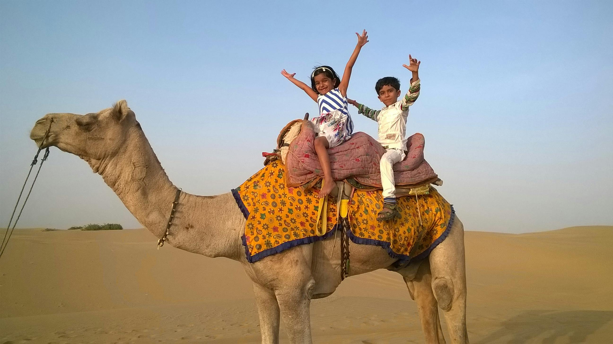 Camel Desert Safari Ticket