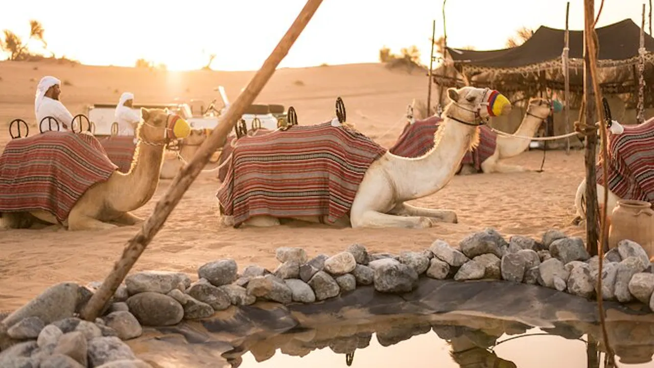 Bedouin Culture Safari Location