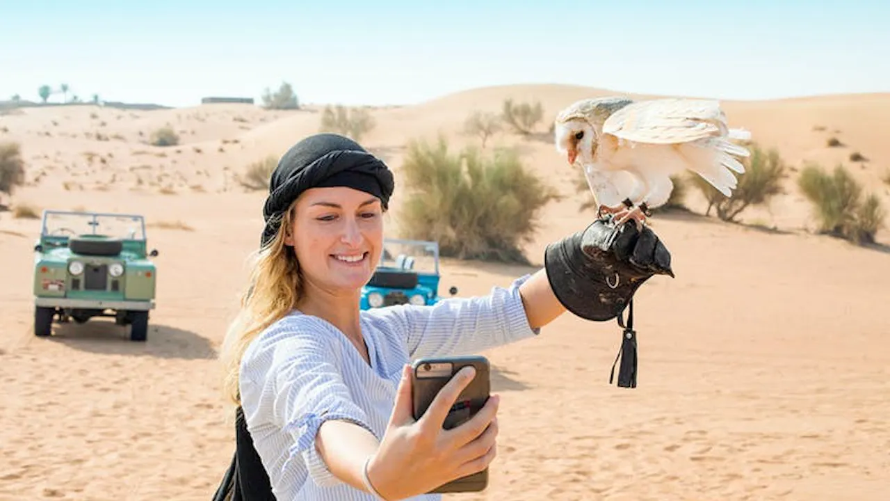 Bedouin Culture Safari Price