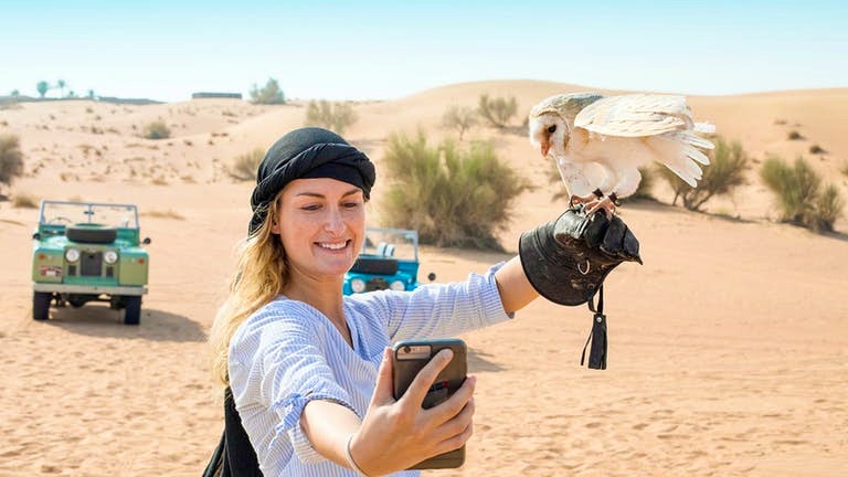 Bedouin Culture Safari Price