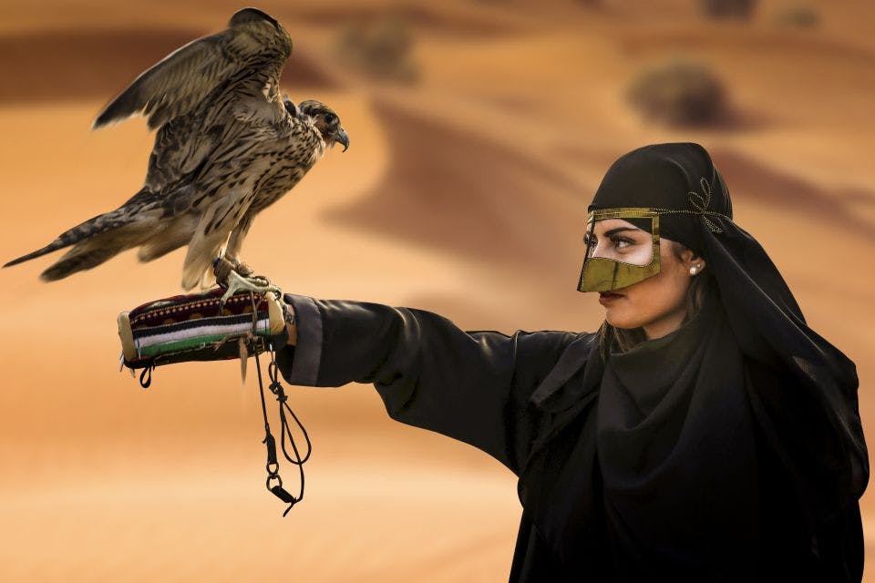 Morning Heritage Safari by Vintage G Class at Al Marmoom Oasis from Dubai Thrillark