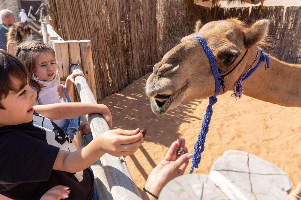 Dubai Heritage Express Tour Discount