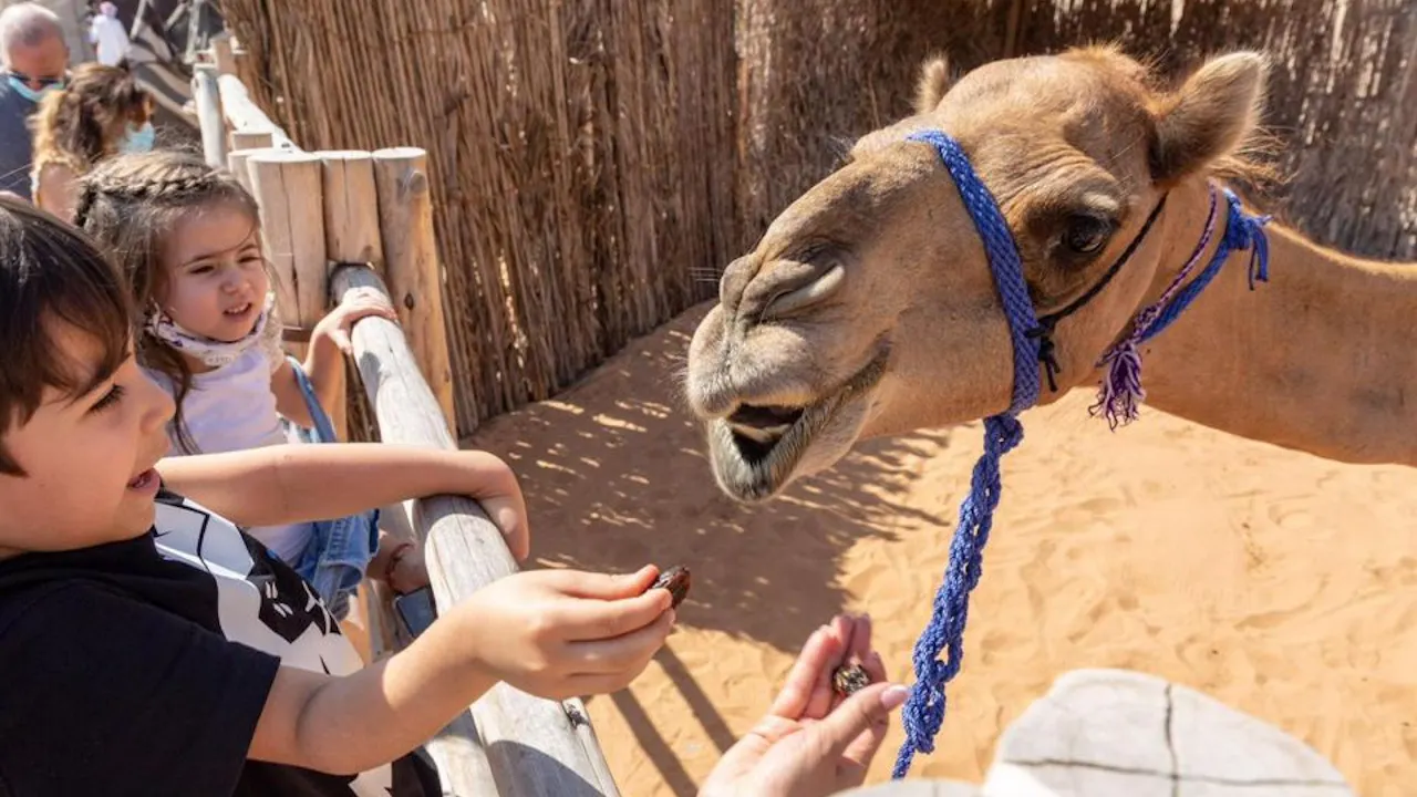 Dubai Heritage Express Tour Discount