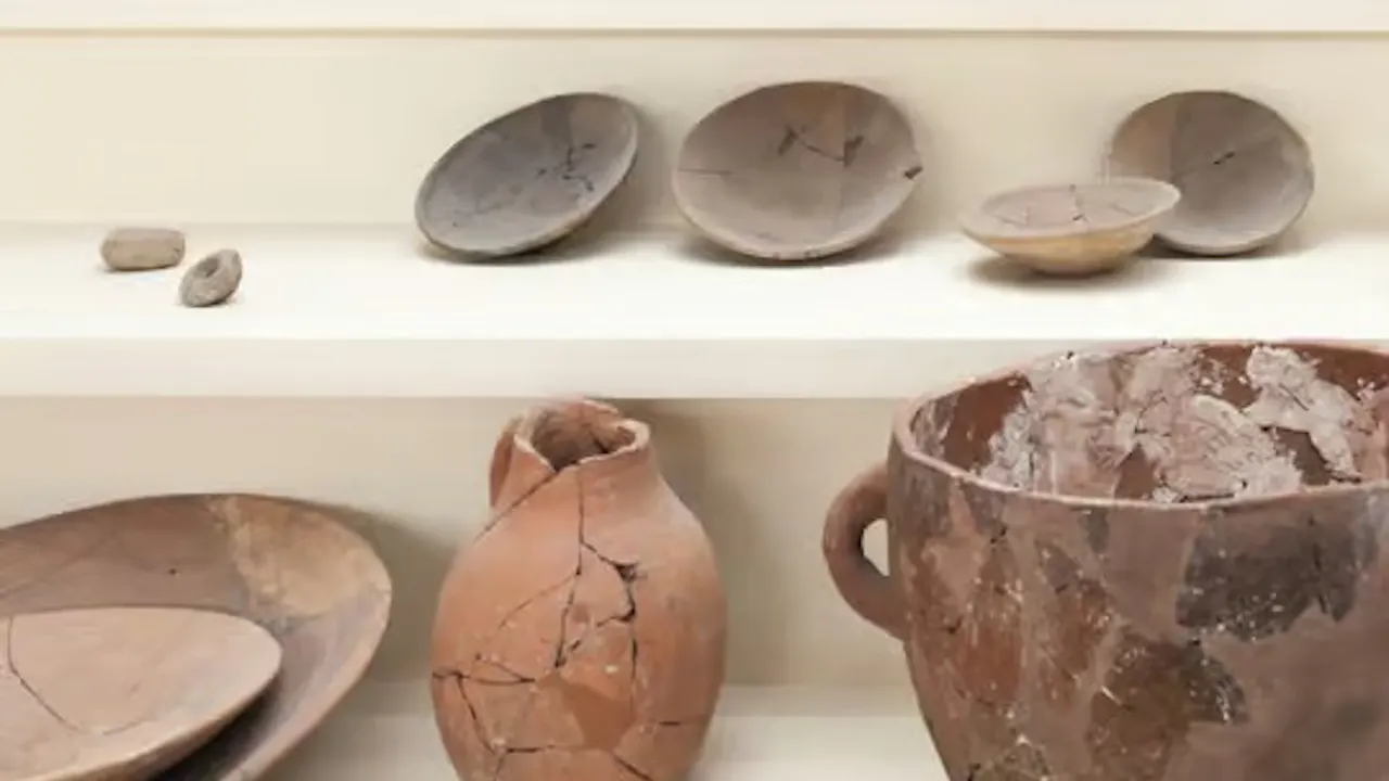 Istanbul Archaeological Museums: Entry with Guided Tour Ticket