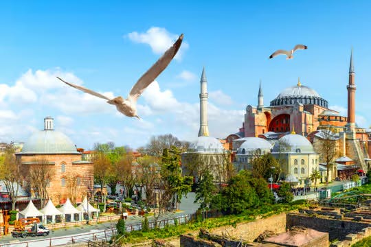 Istanbul Museum Pass for 5 Days: Entry with Guided Tour Ticket 