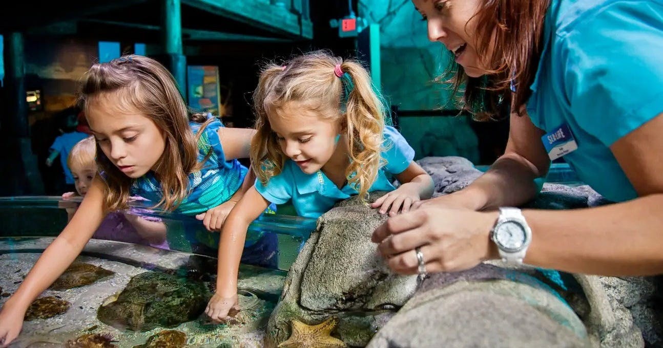 Sea Life Aquarium Entry Ticket: Istanbul 