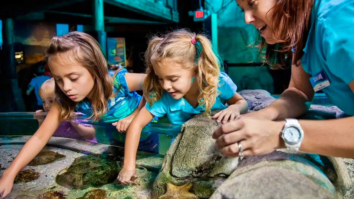 Sea Life Aquarium Entry Ticket: Istanbul