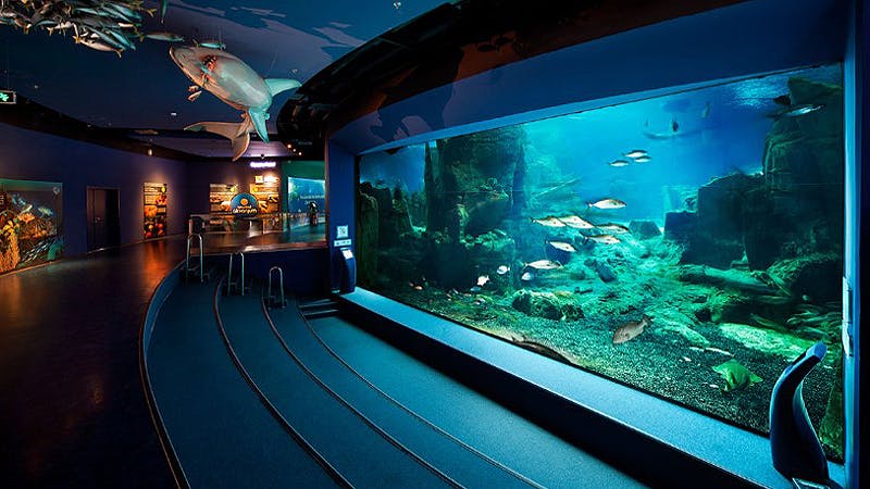 Sea Life Aquarium Istanbul: Entry Ticket Ticket