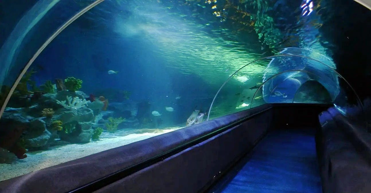 Sea Life Aquarium Entry Ticket: Istanbul Review