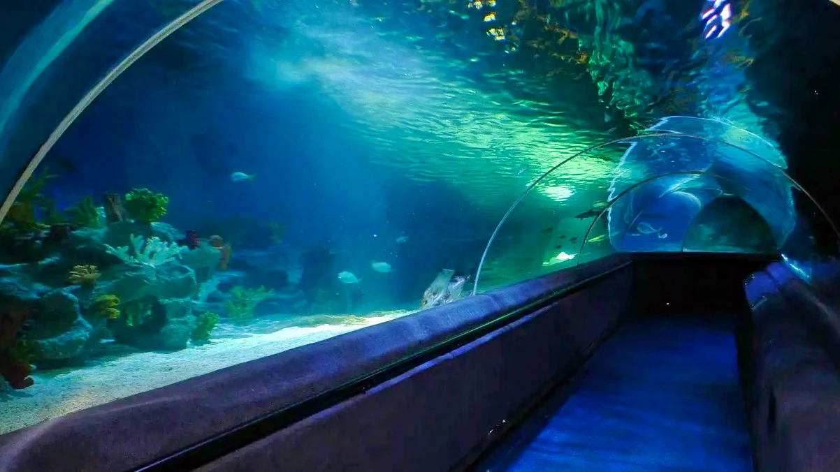 Sea Life Aquarium Entry Ticket: Istanbul Review